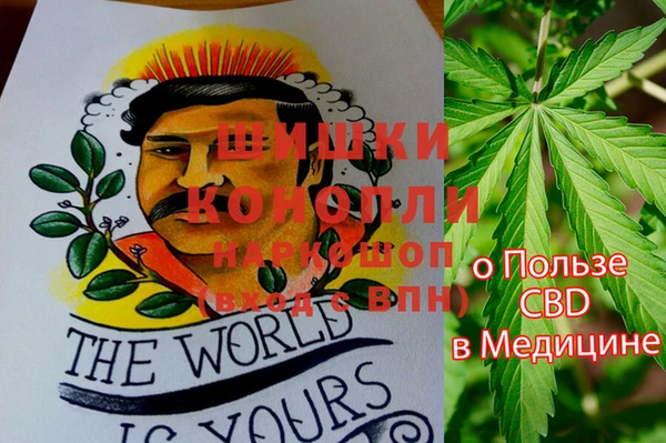 бошки Медногорск