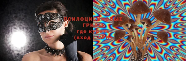 ECSTASY Мегион